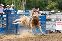 The rodeo returns to the 2019 Genesee County Fair on Saturday, Aug. 24.