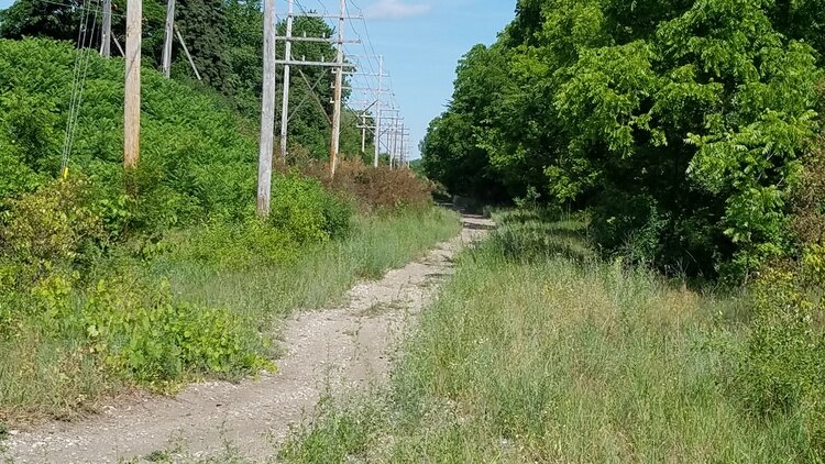 While completion of the trail is welcome news for local hiking and biking enthusiasts, it also sets up avenues for economic and development opportunities. 