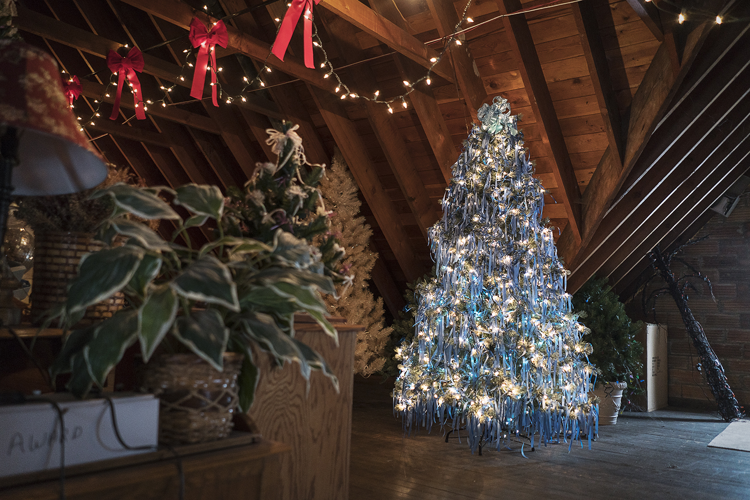 A tree adorned with 2,000 blue ribbons is illuminated in the attic of the Heddy home. Each ribbon on the tree represents a reported case of child abuse in the county for the year it was decorated. Each year the Heddy's generate, on average, $15,000 t