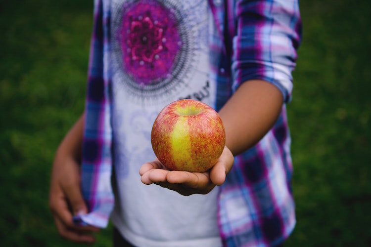 Genesee Intermediate School District is keeping a rolling list of locations across the county that are offering breakfasts and lunches for school-age children.