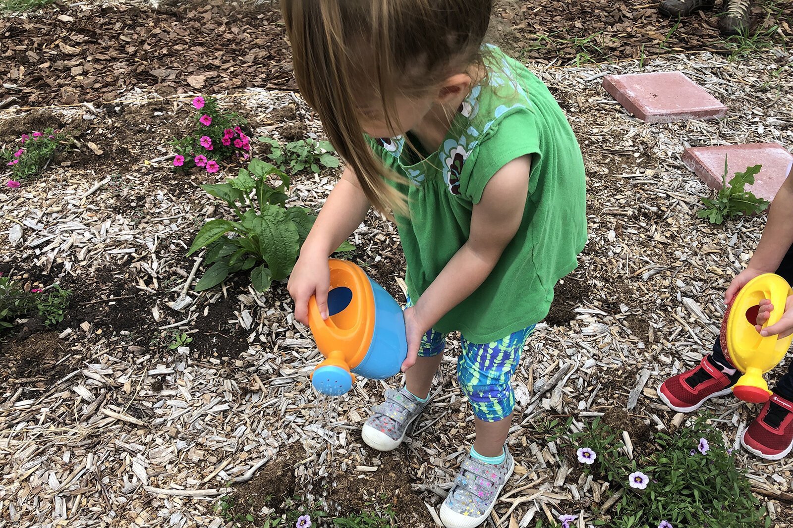 A child in the Child and Family Charities Family Growth Center's community garden.