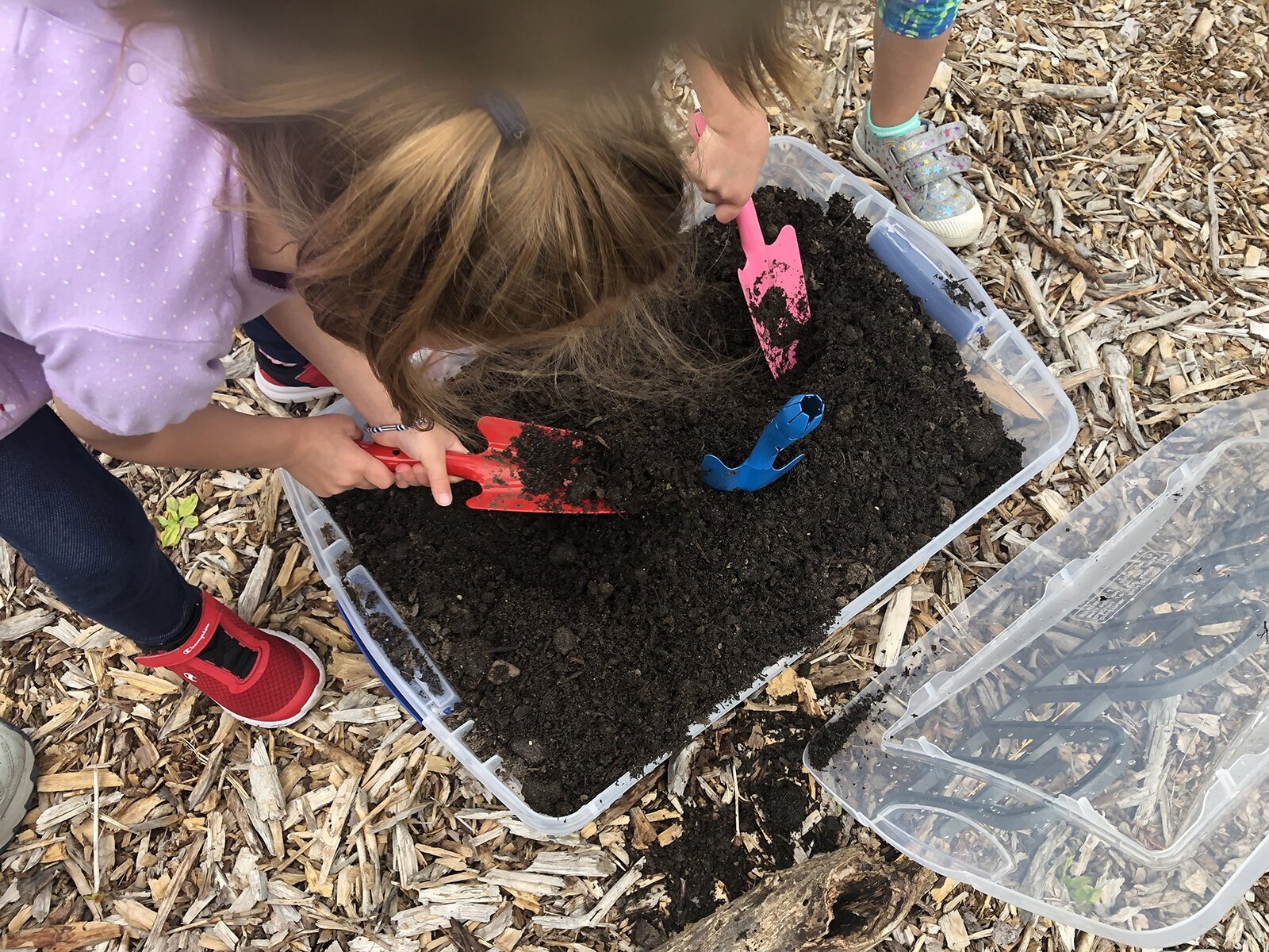 A child in the Child and Family Charities Family Growth Center's community garden.