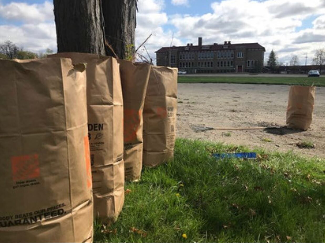 A cleanup at Dewey Park was aimed, in part, at being able to use the baseball field there.