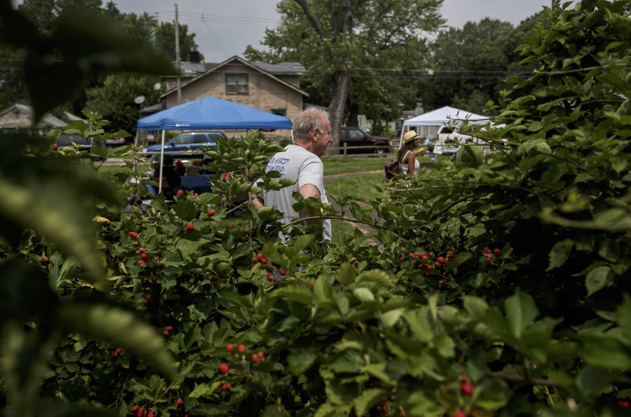 Pastor Tommy McDonial talks with attendees near the berry bushes in Eastside Franklin Park's pocket park.