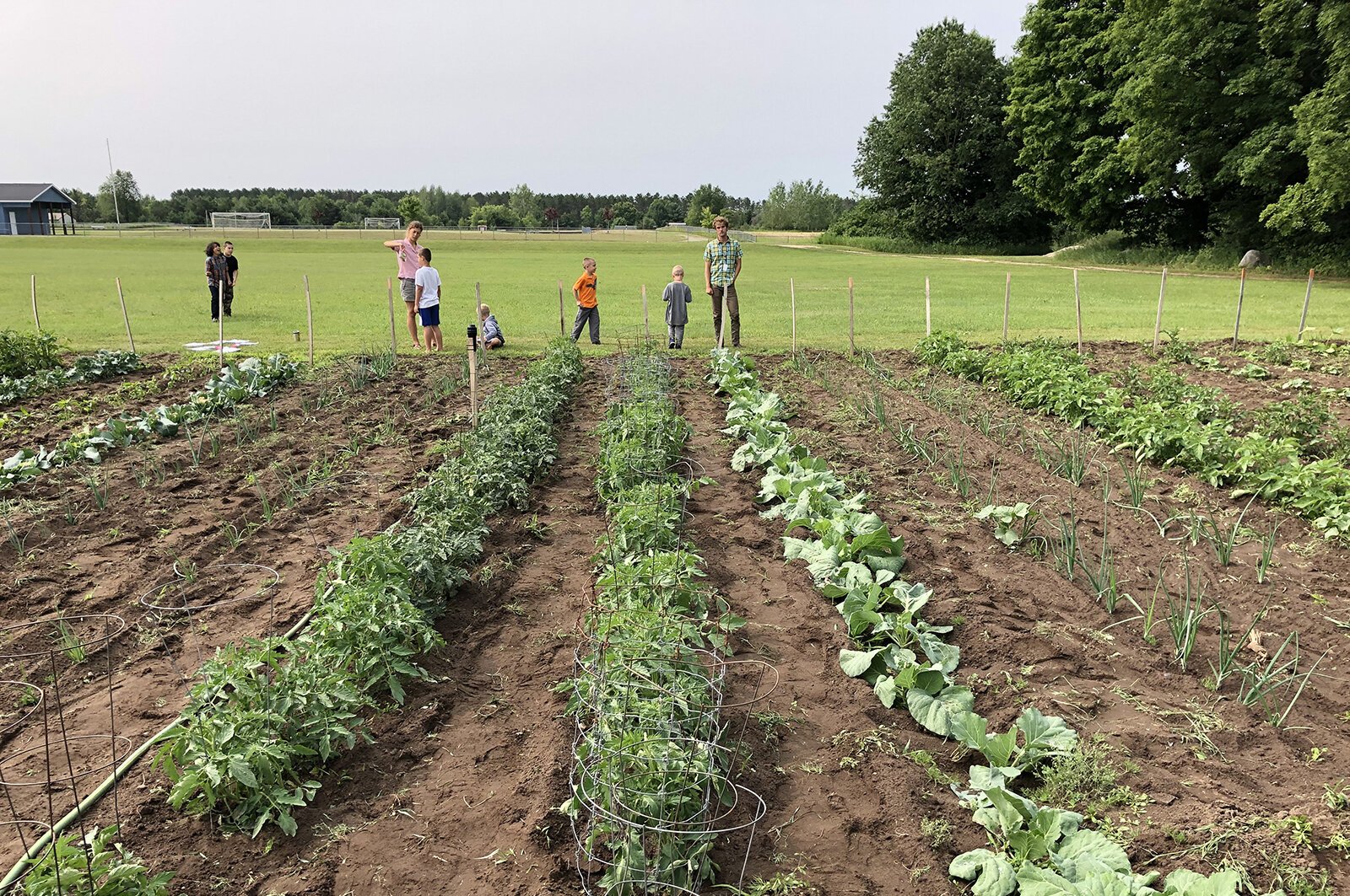 The Buckley Community Garden.