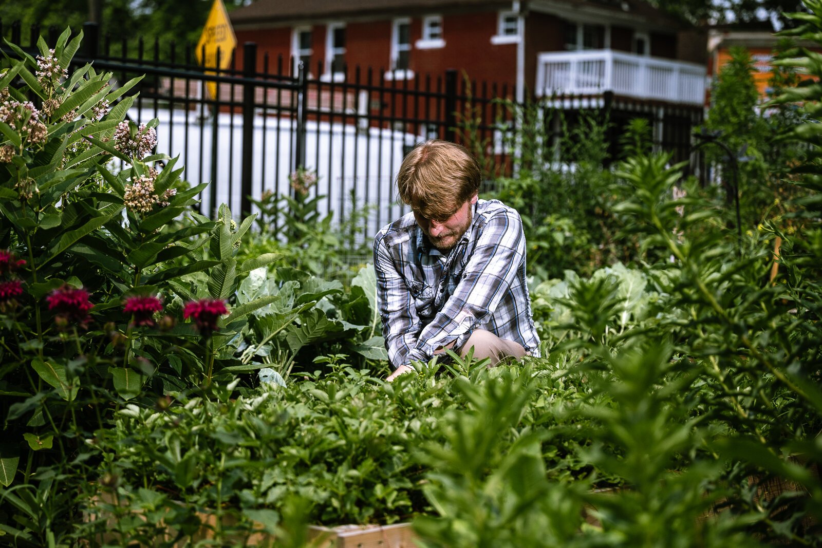 John Peterson in AIHFS' garden.