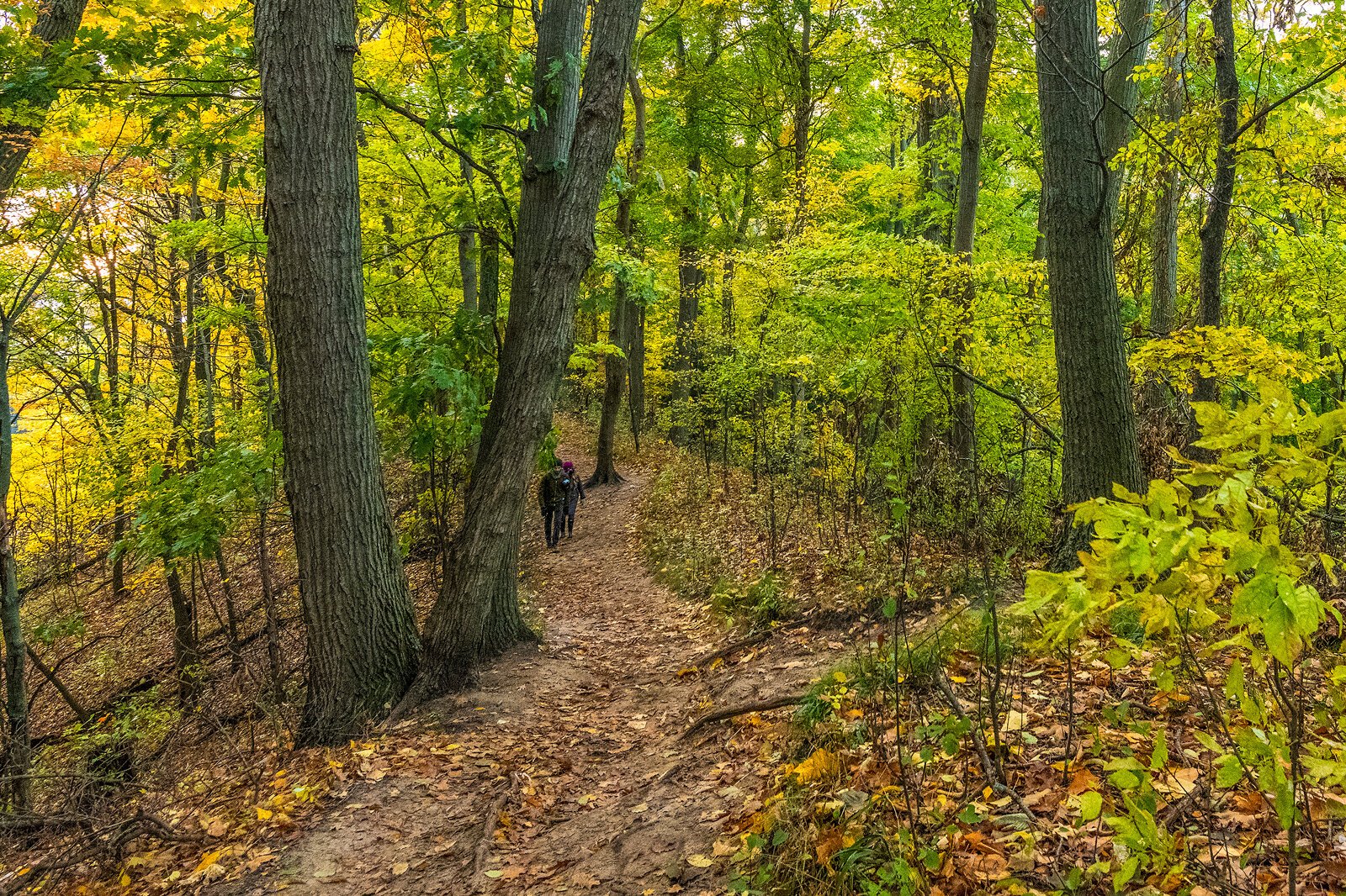 Mt. Pisgah. Photo by Doug Coombe.