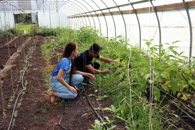 Kettering University students are helping to use technology to reduce irrigation costs for the Asbury hoophouse.