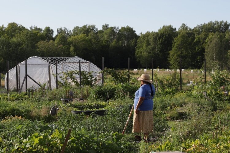 Kathleen Smith works her plot at KBIC's Peoples Garden.