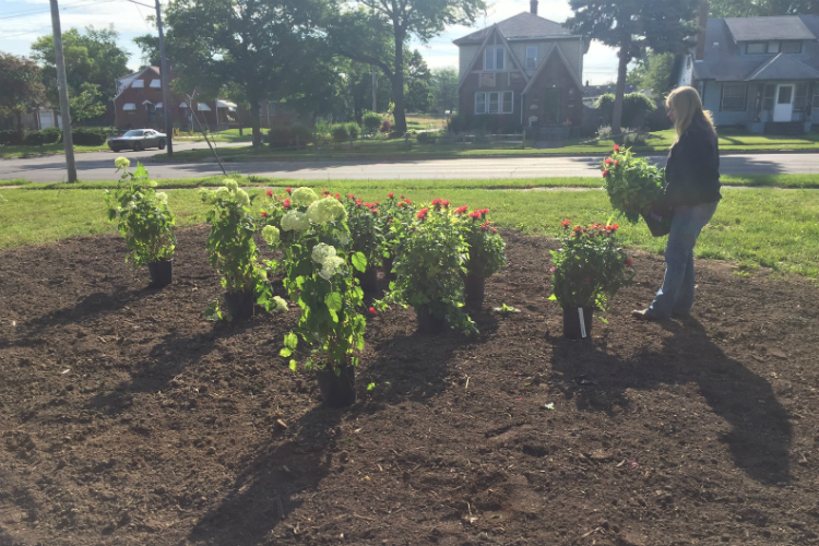 The new Martin Luther King Avenue Peace Garden is located on the west side of MLK between McClellan and Genesee streets. 