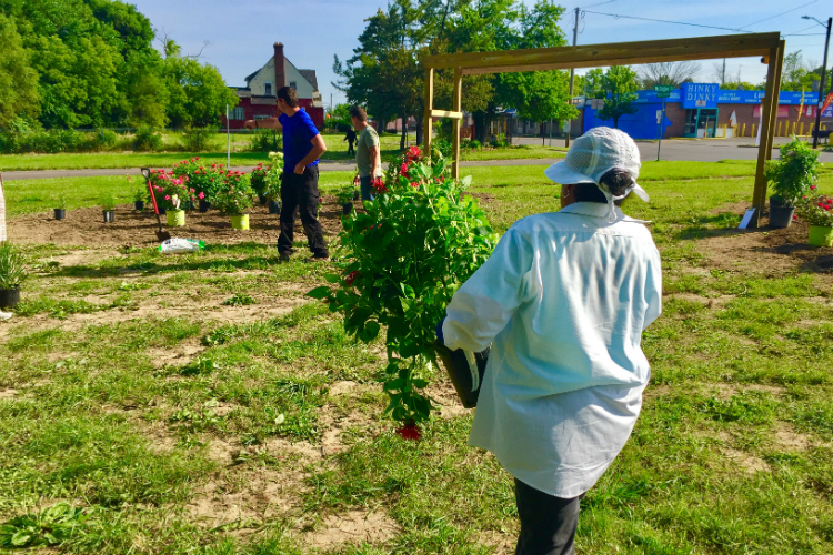 Juanita Cunningham carries plants to their destination inside the new Martin Luther King Avenue Peace Garden.