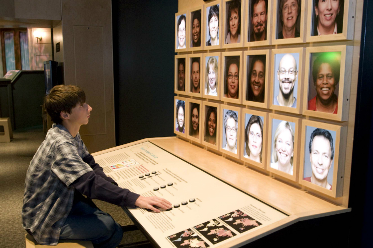 The exhibit "Race: Why Are We So Different?" includes several hands-on exhibits.