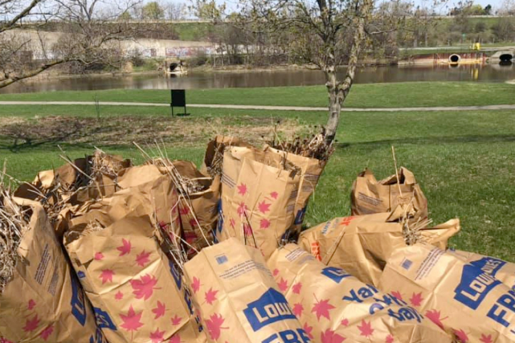 This yard waste was collected from the Lewis Street EcoPark Rain Garden. 