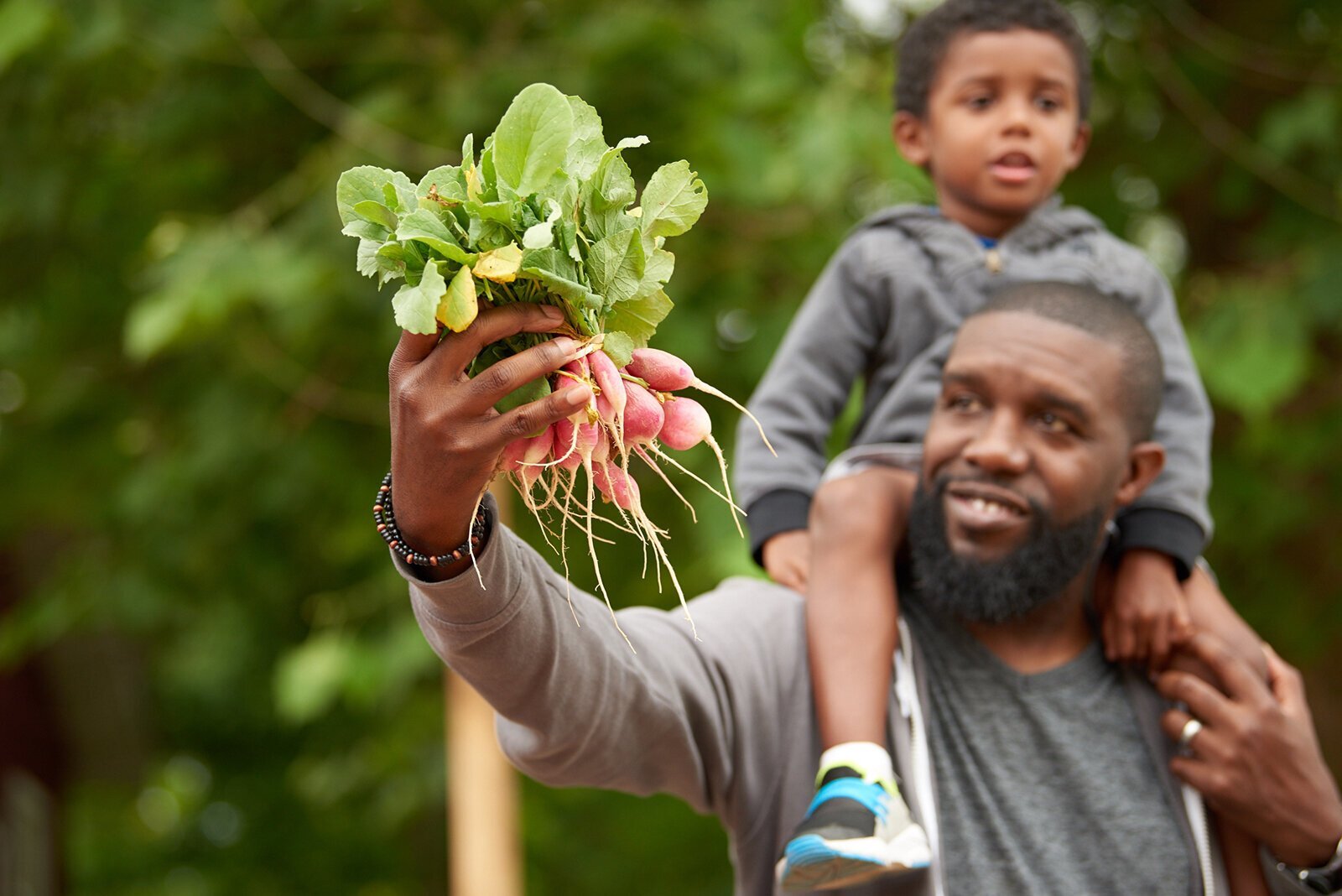 A father selects fresh-picked radishes at a local farm stand.